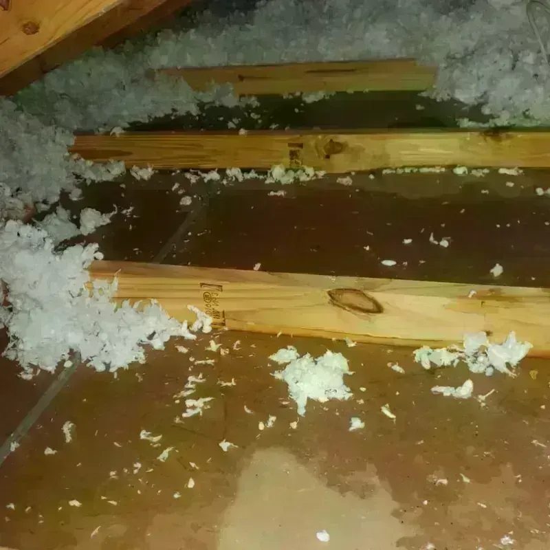 Attic Water Damage in Burt County, NE