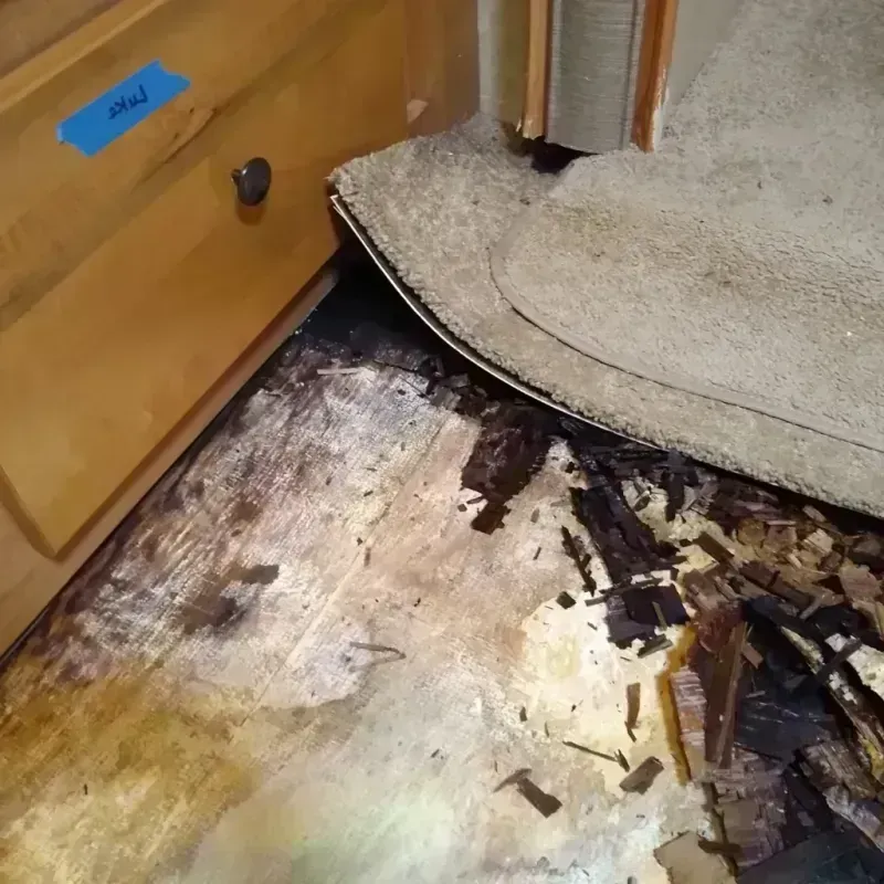 Best Wood Floor Water Damage Service in Burt County, NE